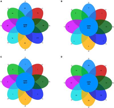 Biochar Amendment and Nitrogen Fertilizer Contribute to the Changes in Soil Properties and Microbial Communities in a Paddy Field